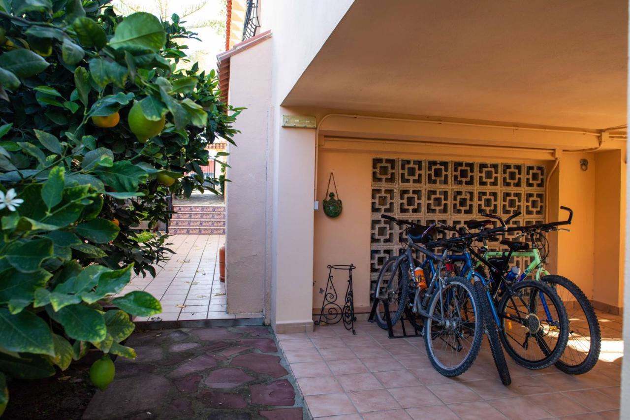 Villa Florit Flats - The Orange Lemon Tree House à L'Eliana Extérieur photo